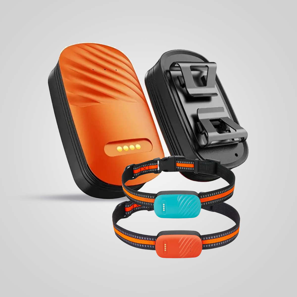 Pet Tracker - Orange Colours